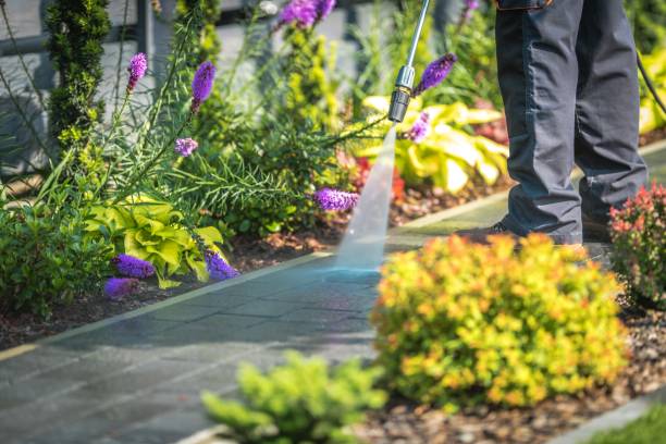 Deer Lodge, MT Pressure Washing Services Company